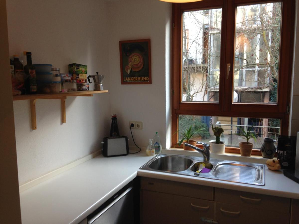 Haus Schoenwald Fribourg im Breisgau Extérieur photo