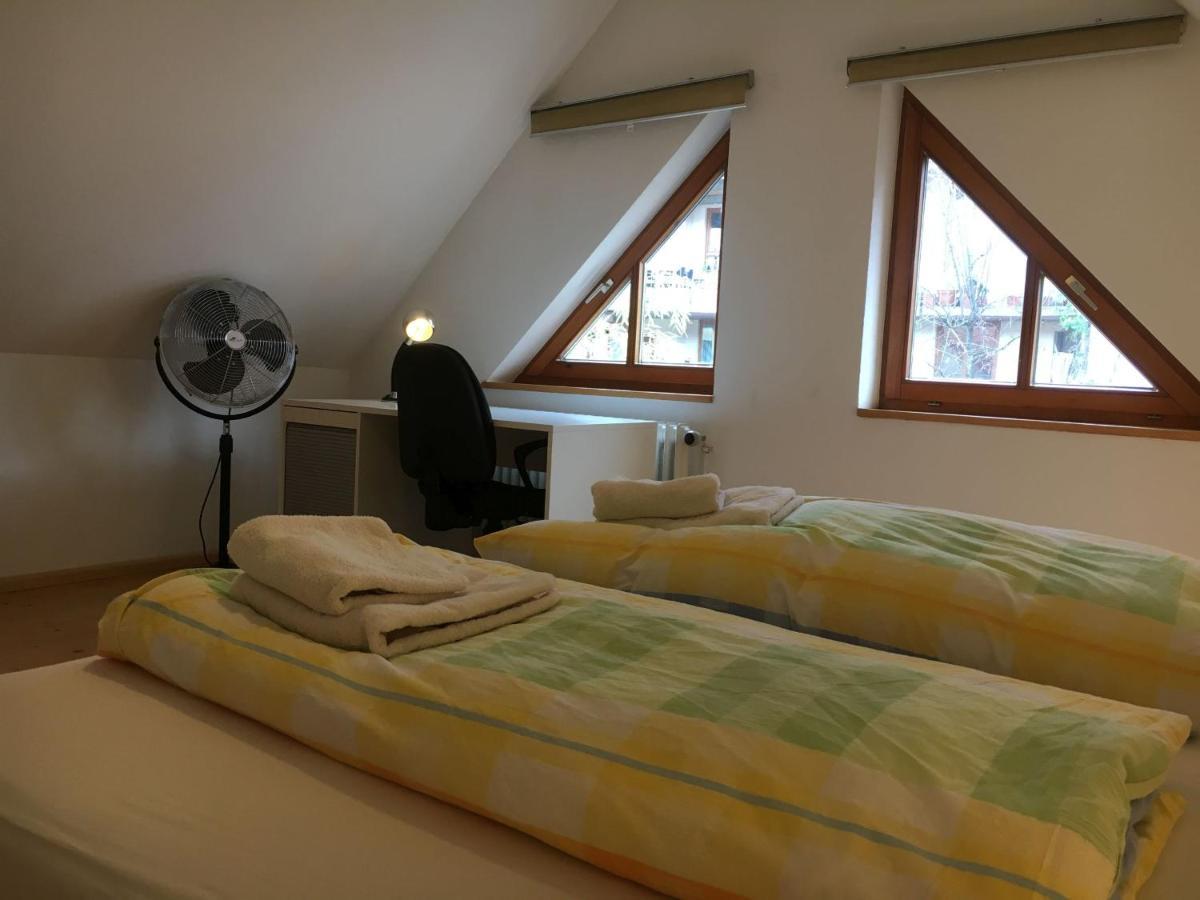 Haus Schoenwald Fribourg im Breisgau Extérieur photo