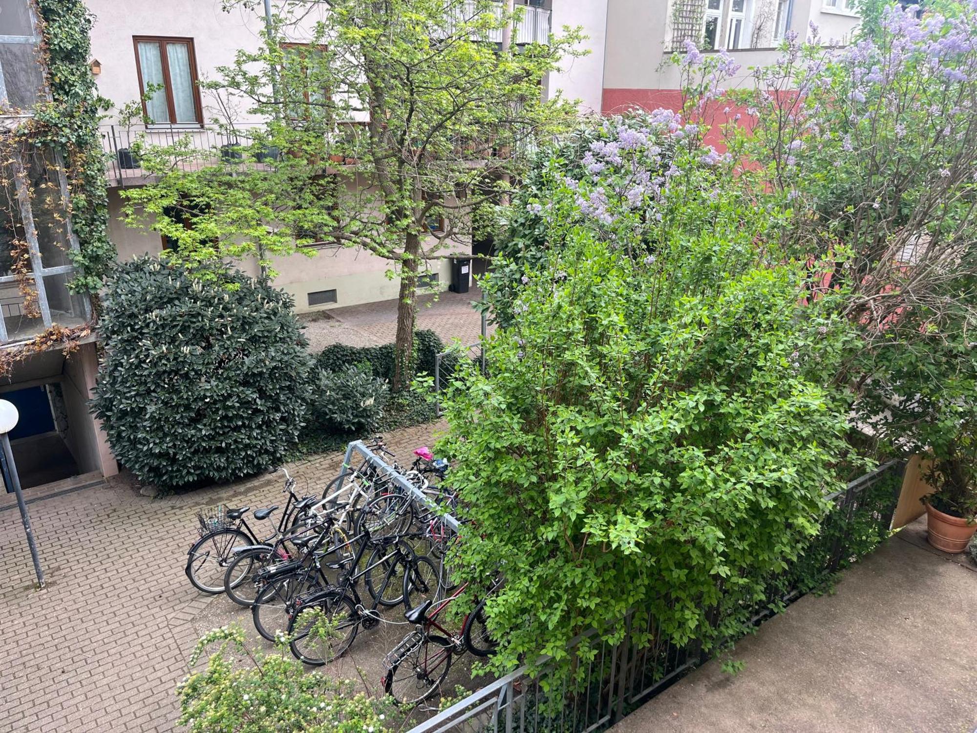 Haus Schoenwald Fribourg im Breisgau Extérieur photo