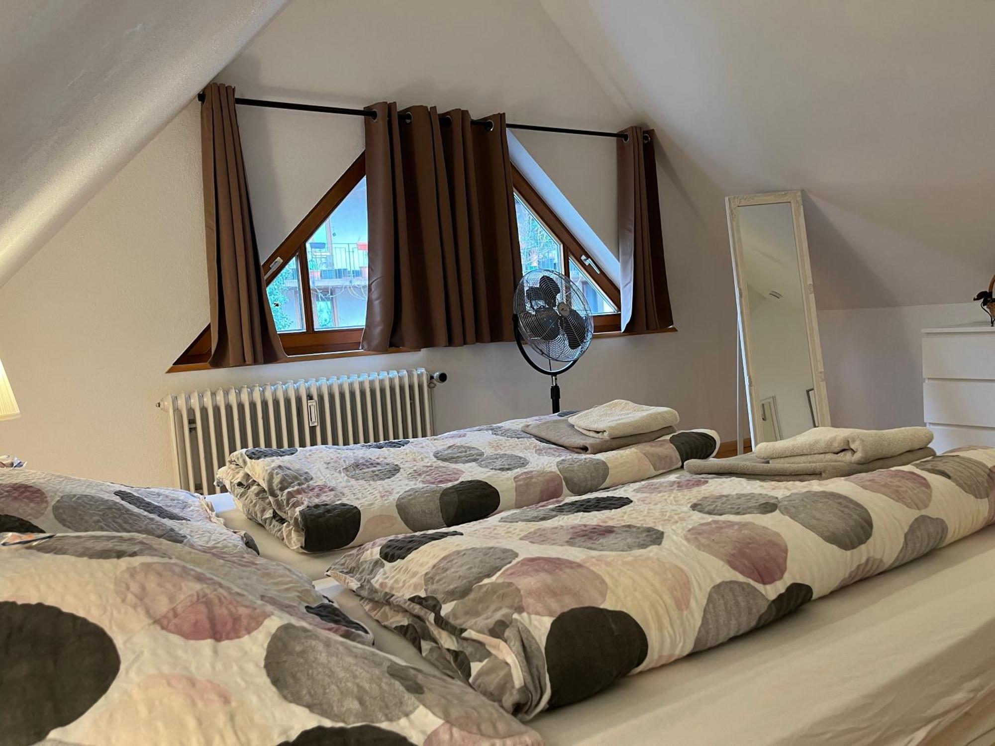 Haus Schoenwald Fribourg im Breisgau Extérieur photo