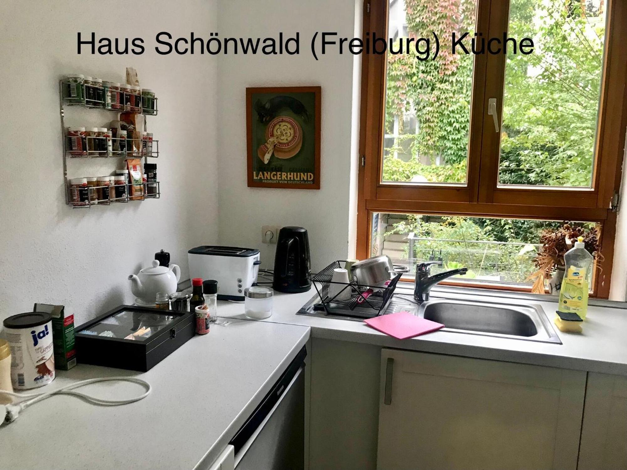 Haus Schoenwald Fribourg im Breisgau Extérieur photo