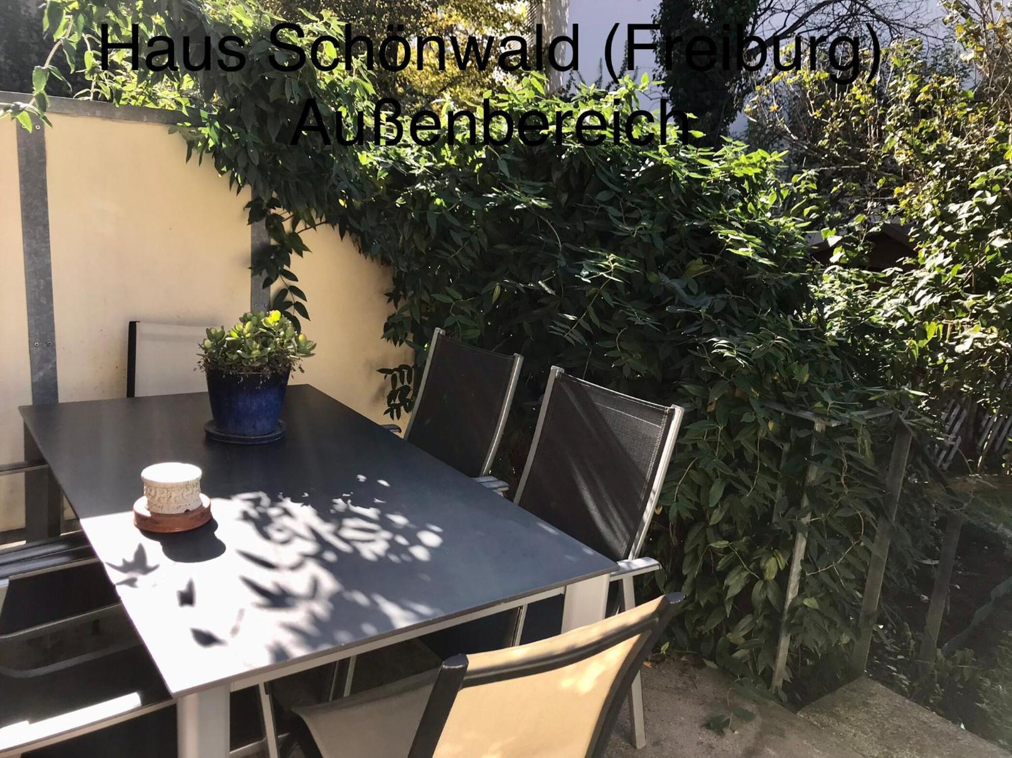 Haus Schoenwald Fribourg im Breisgau Extérieur photo