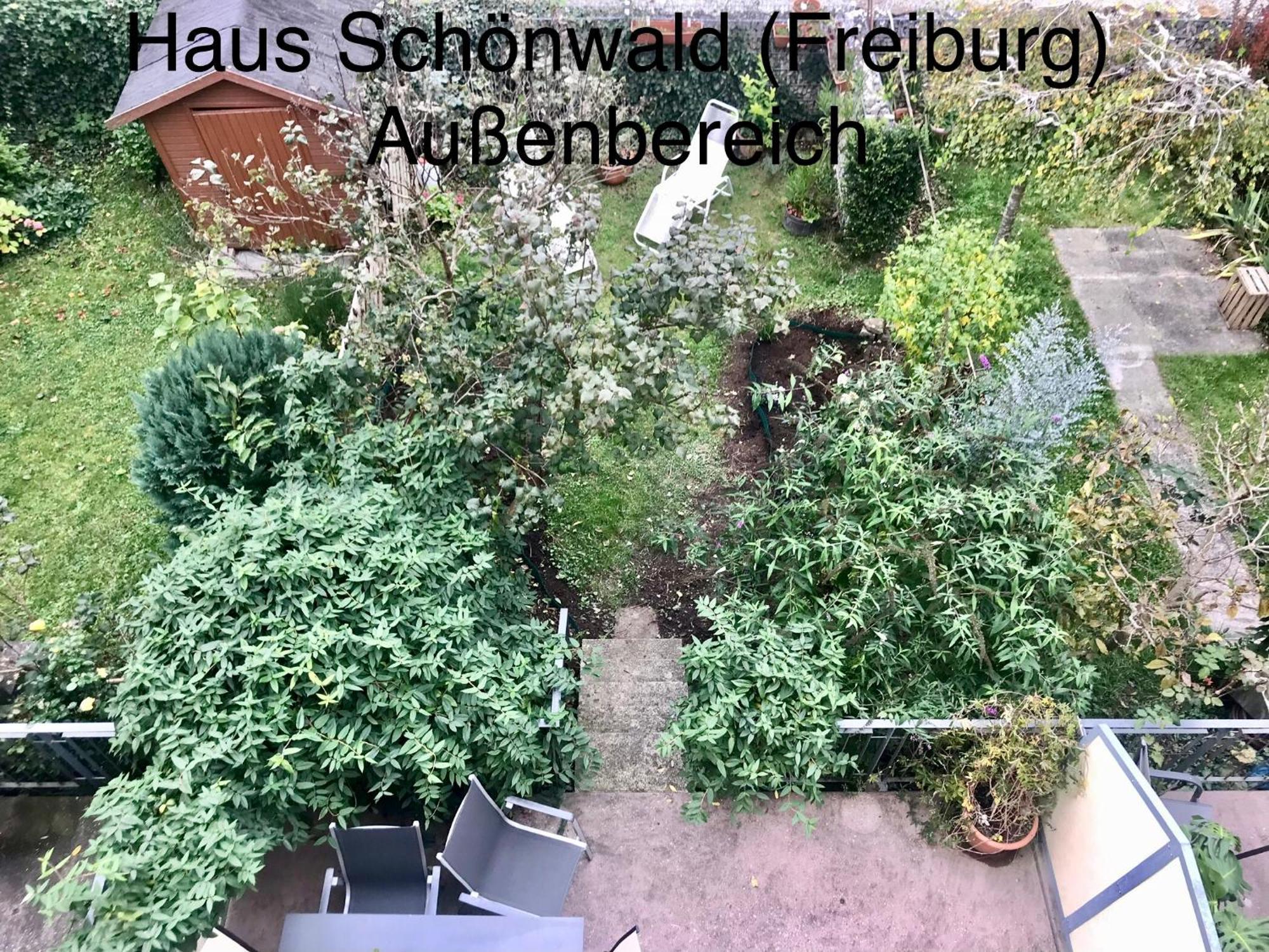 Haus Schoenwald Fribourg im Breisgau Extérieur photo